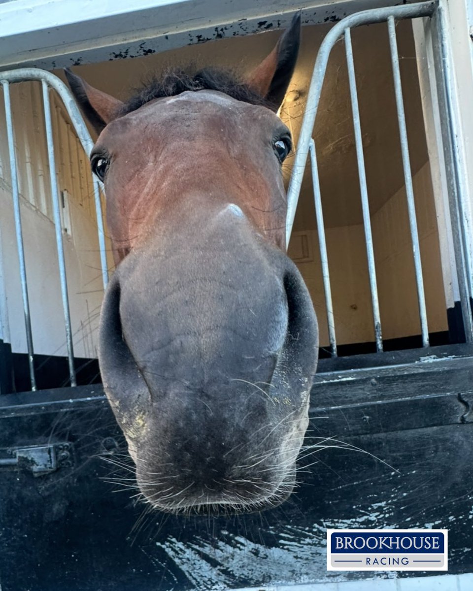 Brookhouse Racing tweet media