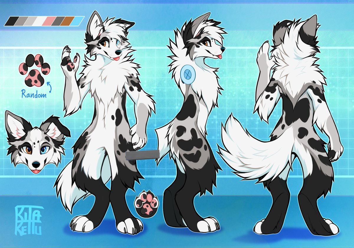 KitaKettu's tweet image. Reference and design completed for @DOCorDOG 🐾✨