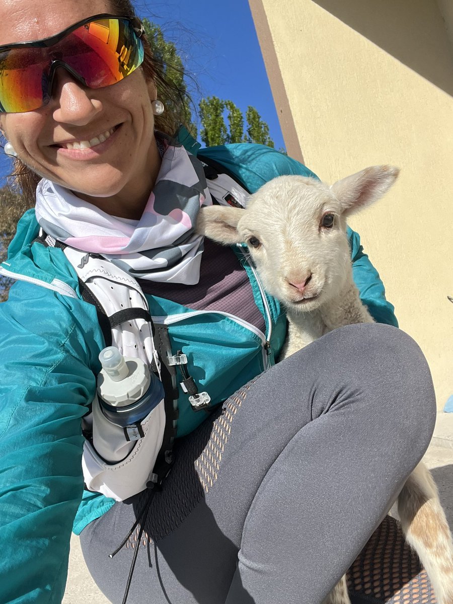 #estefinde se entrena !!! 
Buen domingo !!! Con nuestro caniche Patagonica ‘Rulo’ desde Trelew #Chubut <a href="/todonoticias/">TN - Todo Noticias</a>