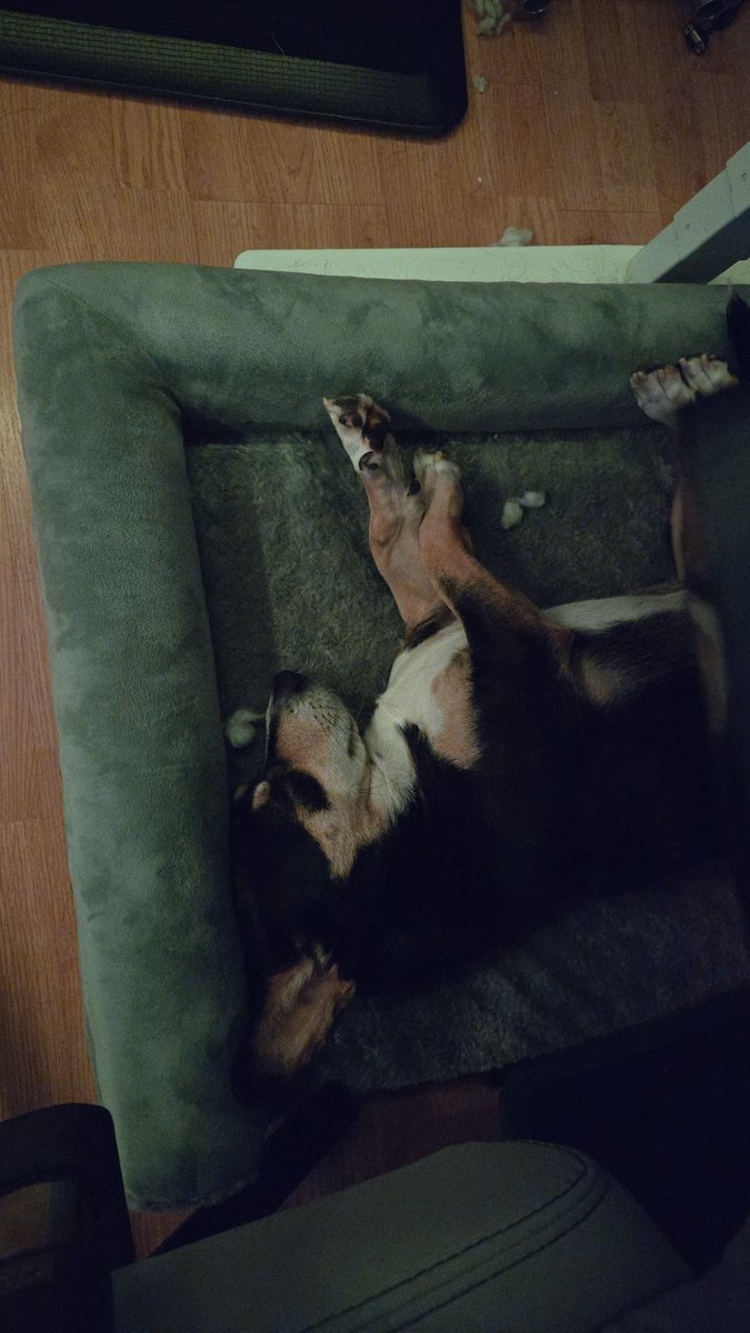 TheChartech's tweet image. Sleepyyyy