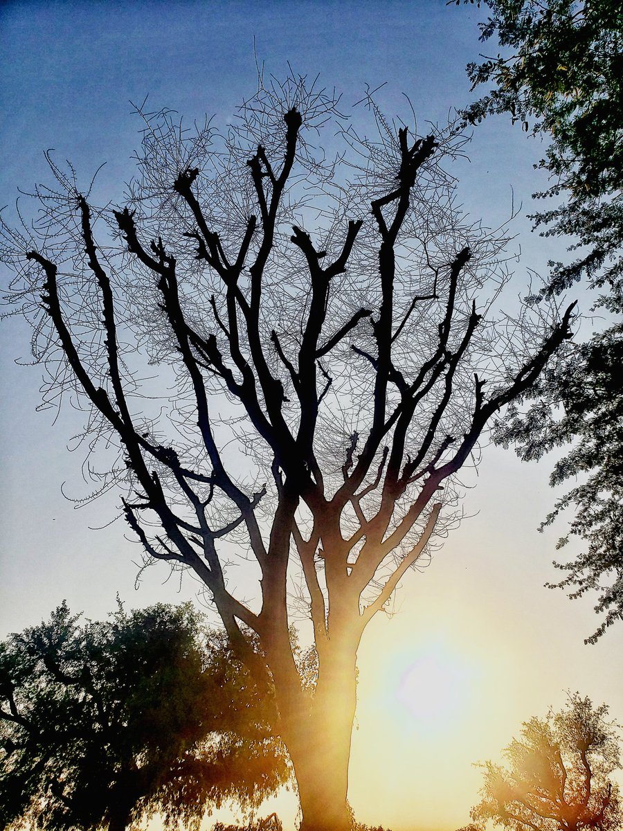 priyanshu singh (@priyanshu823974) on Twitter photo 