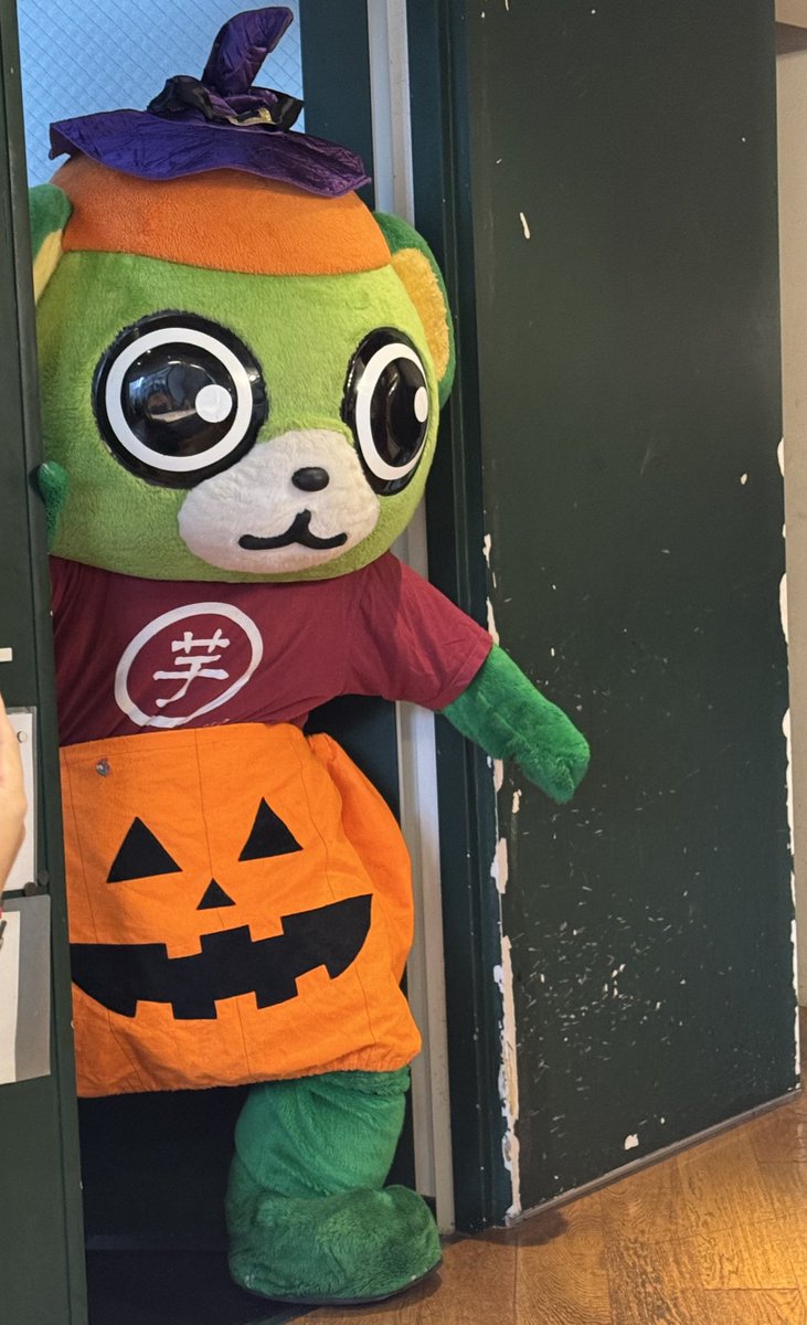 yo_tan's tweet photo. 本日はイッちゃんとハロウィン🎃
ぬんっ!!と登場からのめちゃくちゃ可愛い直立💚
#大崎さんとハロウィン #大崎一番太郎project30 #ride19 #大崎一番太郎 https://t.co/u7kmoGpgGN