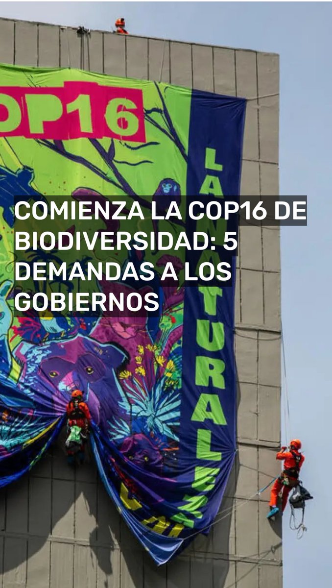 Mientras el mundo enfrenta una crisis ecológica, los líderes mundiales se reúnen en Cali, Colombia, en la #COP16 de la Biodiversidad de la ONU. 

Pero, ¿qué es exactamente la COP16 y qué demandamos a los gobiernos?  

es.greenpeace.org/es/noticias/co…