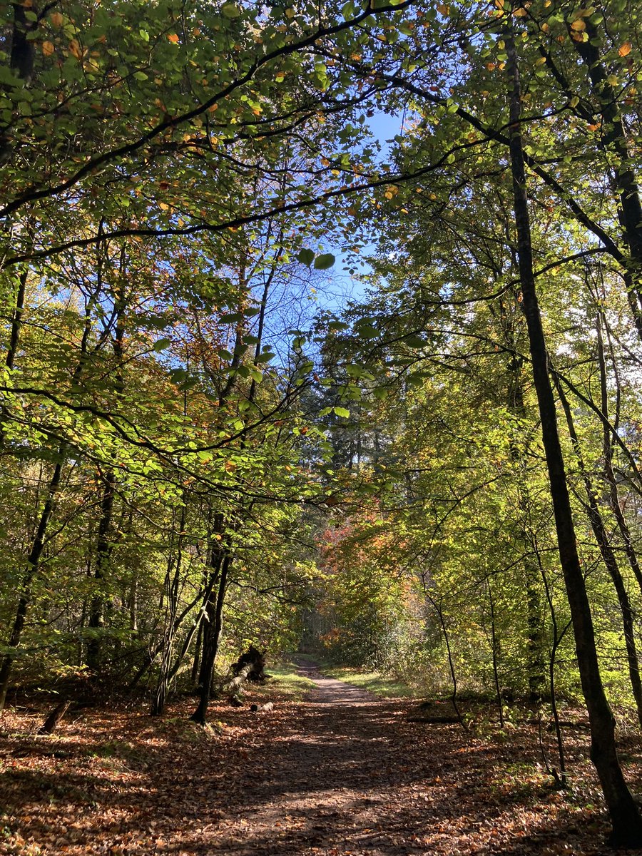 Pannenkoekencrisis in Lage Vuursche. Gelukkig is er voor een solowandelaar altijd wel plek en komt de pannenkoek snel. 
Bij alle restaurants staan mensen te wachten op een tafeltje.