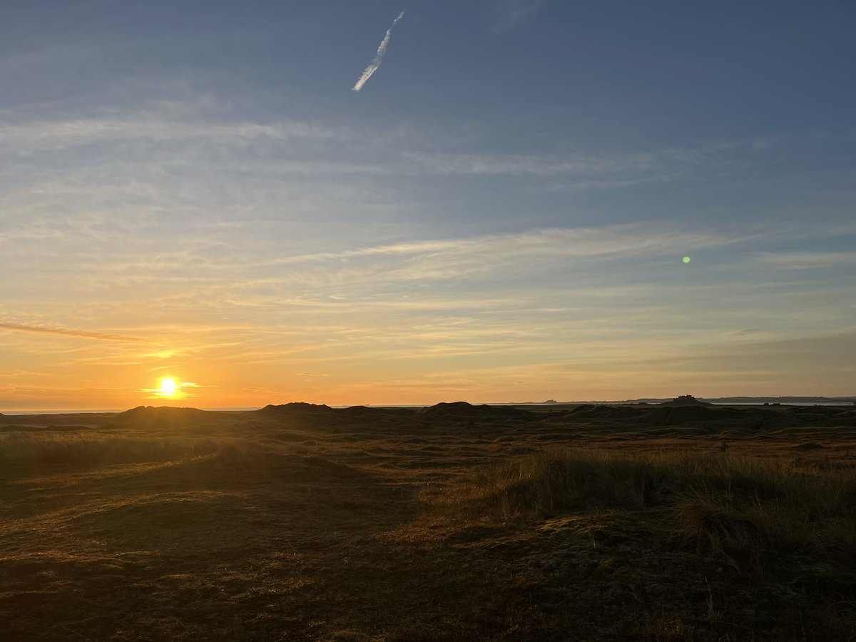 Lovely autumnal skies at the moment filled with thrushes and geese ♥️