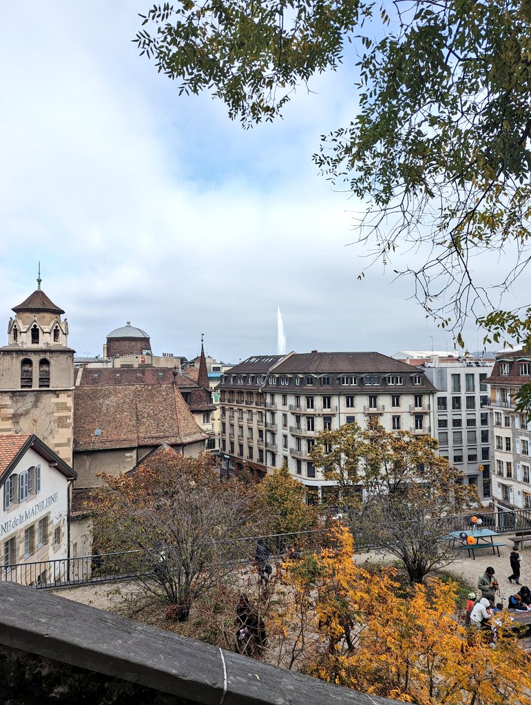 Excited to be in Geneva to learn about expansion microscopy from @CentrioleLab who generously agreed to host me and share their expertise! Thank you <a href="/SULSAtweets/">SULSA</a> for supporting this visit via the Early Career Development Award and <a href="/SIPBS_Strath/">StrathPharm&Bio</a> for their further support 🔬