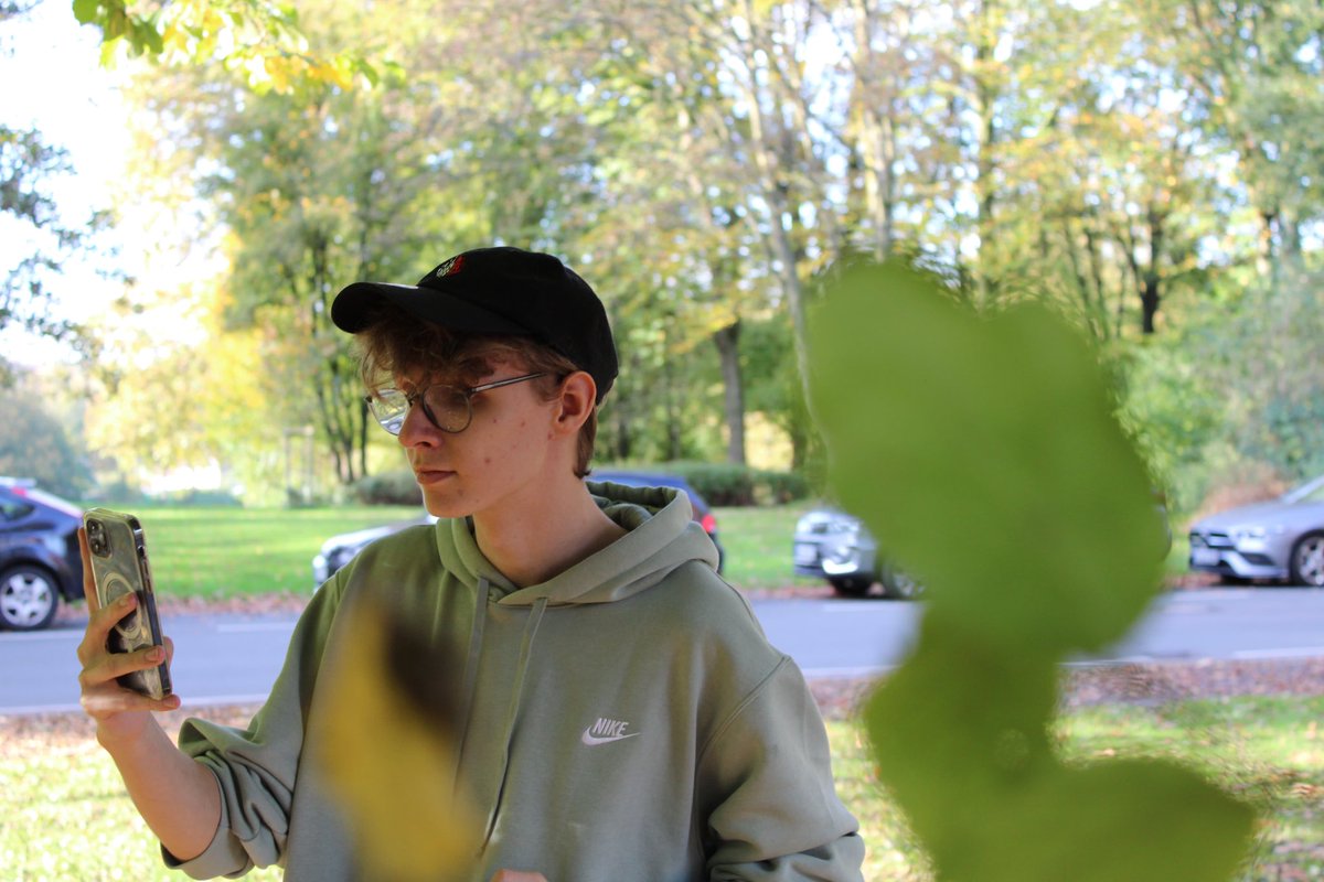 TypischRyan 🐬 tweet media