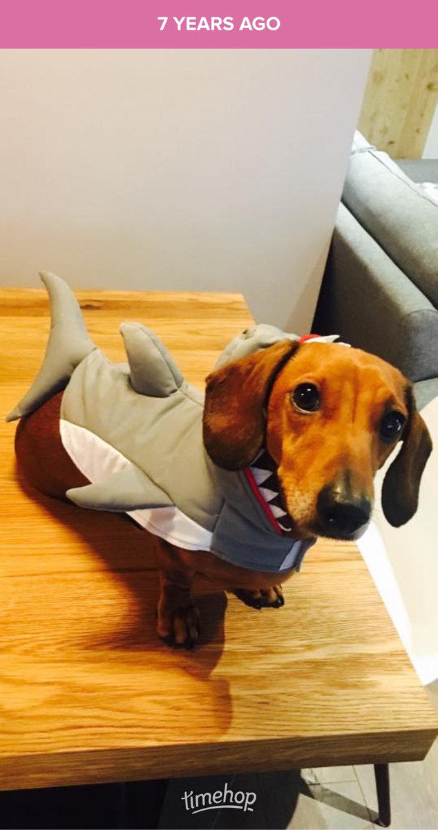 Love my Timehop today 😆🐾🦈
