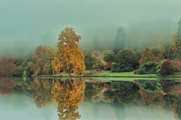 stonecollector's tweet photo. Golden hour at stourhead national trust https://t.co/W79mqovvRQ https://t.co/MBc1tS97mG