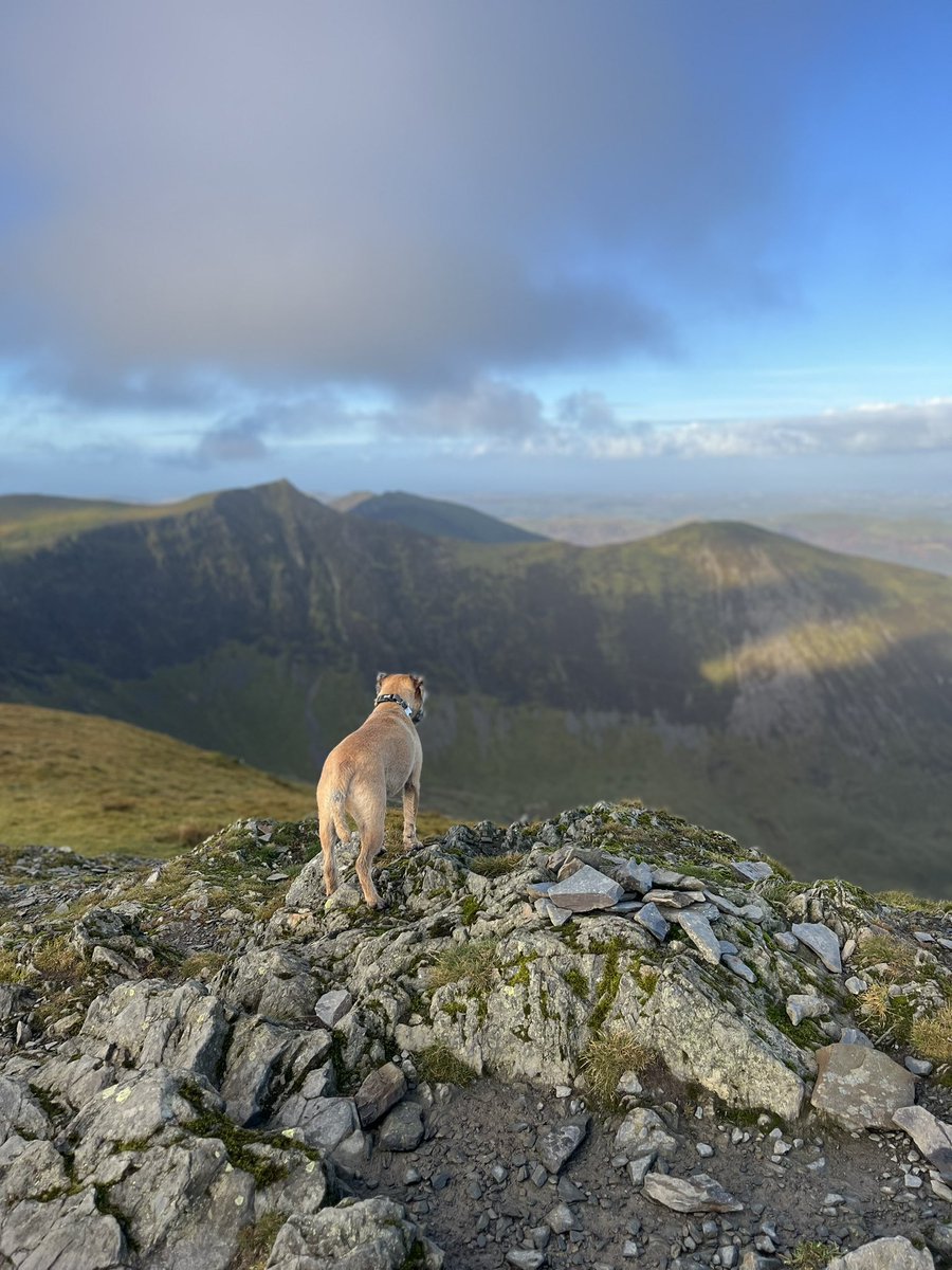 DoUGie36Ste's tweet photo. @BorderSeth Grisdale Pike run for Obi the border terrorist🐕👌🏼 https://t.co/A8F8ko2oao