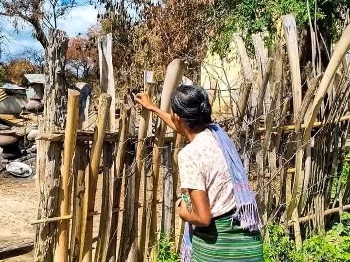 Senderwallet (@senderwallet) on Twitter photo The small fence post where his son's head once rested... An old mother’s sorrow, her tears falling as she touches it. 😢😢
Soldiers in the Myanmar army are using drugs and killing innocent civilians.
#WhatsHappeninglnMyanmar The small fence post where his son's head once rested... An old mother’s sorrow, her tears falling as she touches it. 😢😢
Soldiers in the Myanmar army are using drugs and killing innocent civilians.
#WhatsHappeninglnMyanmar