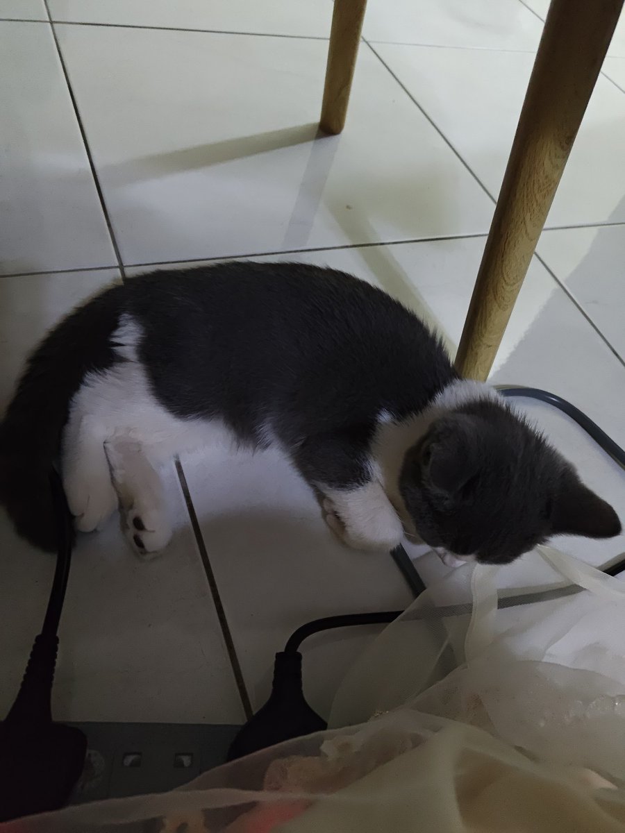 sejuk ye tido dalam ni ♥️