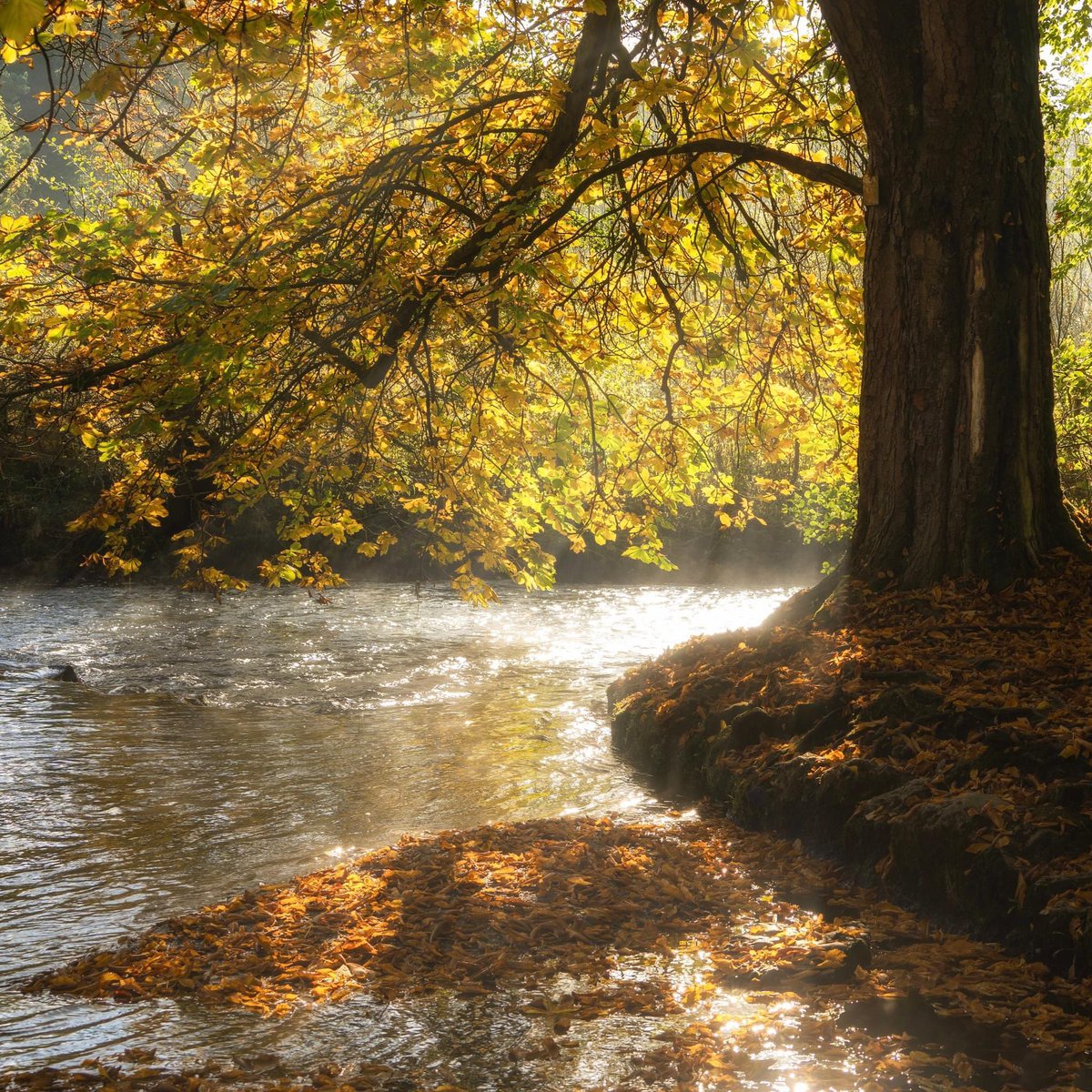 peaklass tweet media