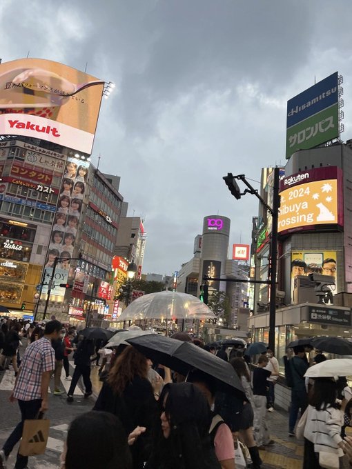 星野るなのTwitter画像26