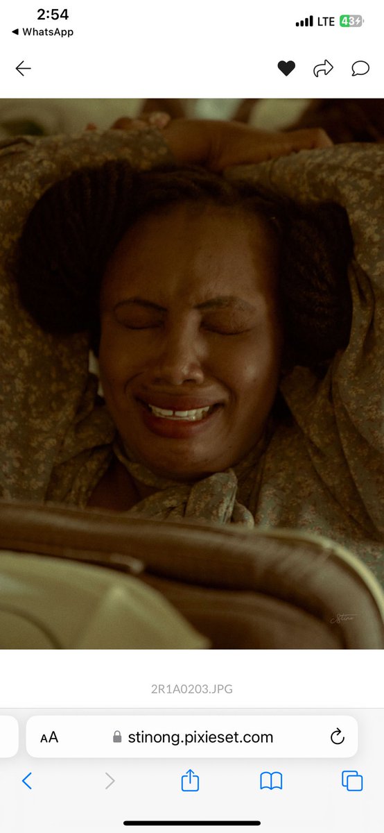 PlayNetworkStudios tweet media