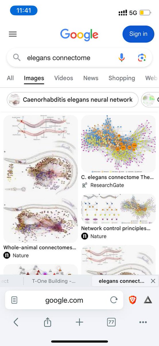 re $worm

so $worm is 2-dimensional plane game of a worm moving around some loose goal of a target apple based on onchain txns. 

by happenstance, my friend worked as an engineer at wormbase, as worm neurology once entered scientific "stardom" because of how odd it is. some