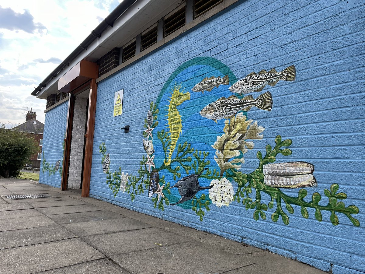Some murals I completed at Grant Street in Cleethorpes as part of Paint the Town Proud initiative