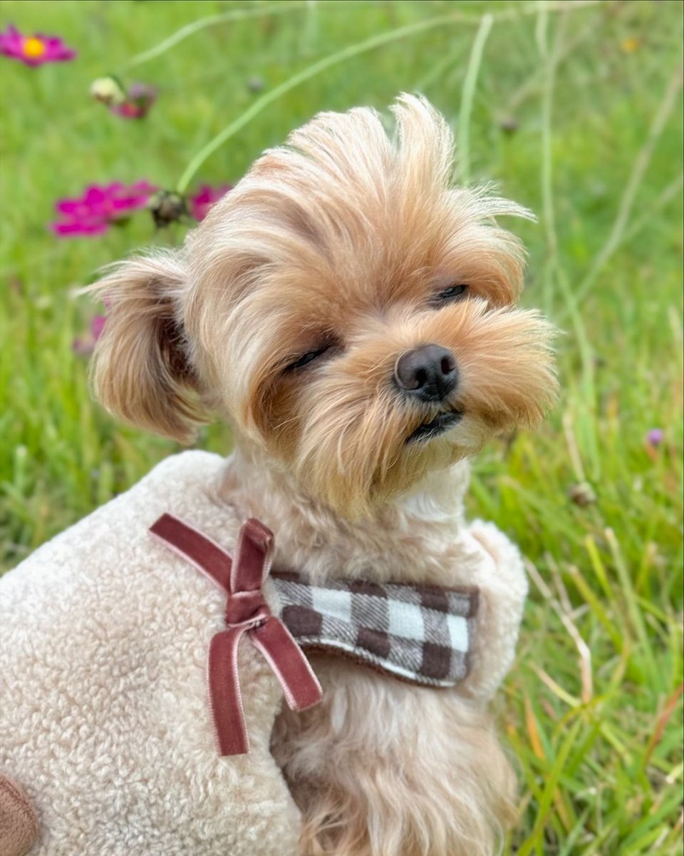 Daddy Sungchan                His Daughter

JUSTICE FOR SEUNGHAN
 
#BringBackSeunghan
#SMSupportsBullying
#SM_쓰레기