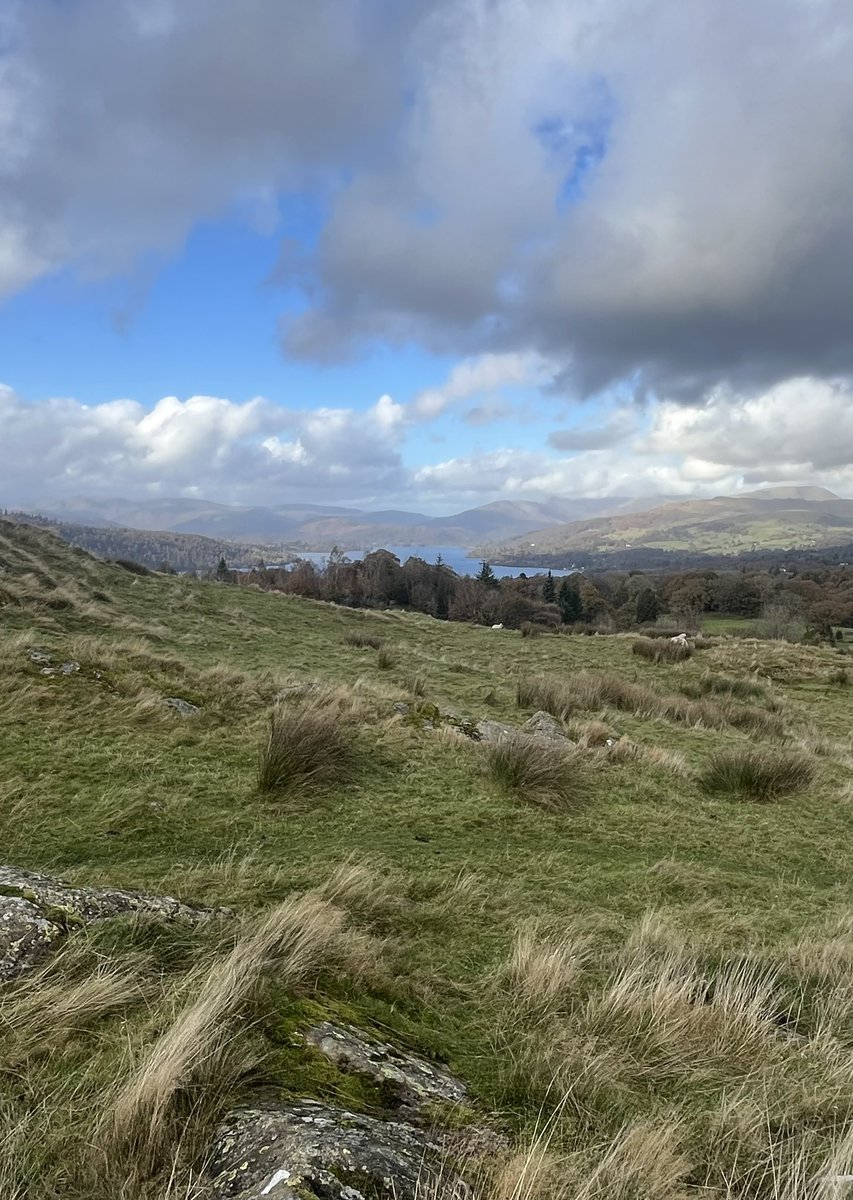 Mr Humanities tweet media