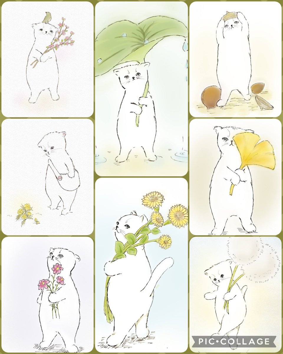 こそっと、タグ参加させていただきます #SNS文化祭2024 
ねこの絵、描いてます🐱
#猫イラスト 