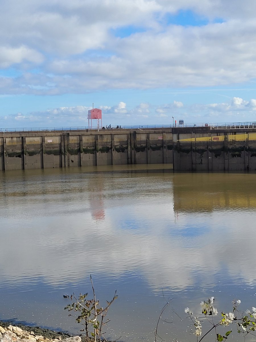 Russell Gascoigne 🏴󠁧󠁢󠁷󠁬󠁳󠁿 🇪🇺 tweet media