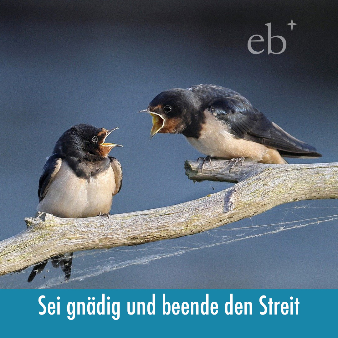 Erlebst du das auch in diesen Tagen, dass sich Freundschaften im #Streit entzweien, dass die ganze Gesellschaft im Streit liegt?😝 Denk daran: Du lebst von der Vergebung. Lies das Gleichnis vom Schalksknecht im Matthäusevangelium 18,21–35 kurzlinks.de/bibel2👍
