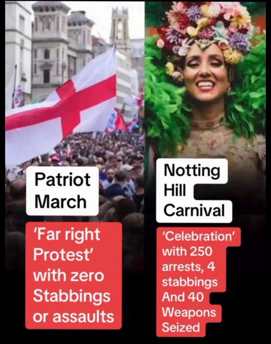 TheNorfolkLion's tweet image. 