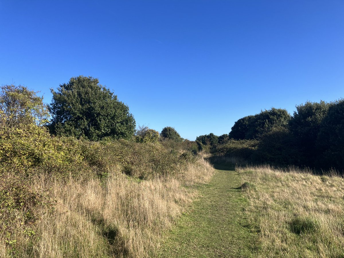 Black Redstart, Velvet Scoter W, 2500 Starling W, 3 Chiffs and a Blackcap the best of it between West Runton and Sheringham in the sunshine this morning.