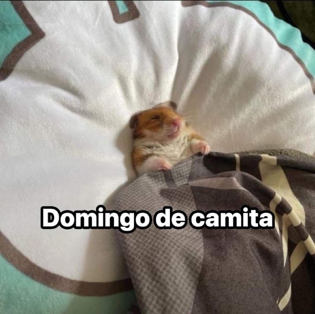 Domingo.