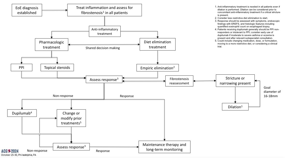 🆕 <a href="/AmCollegeGastro/">ACG</a> Eosinophilic Esophagitis Guideline (in press soon)

Algorithm for EoE Management

#ACG2024
