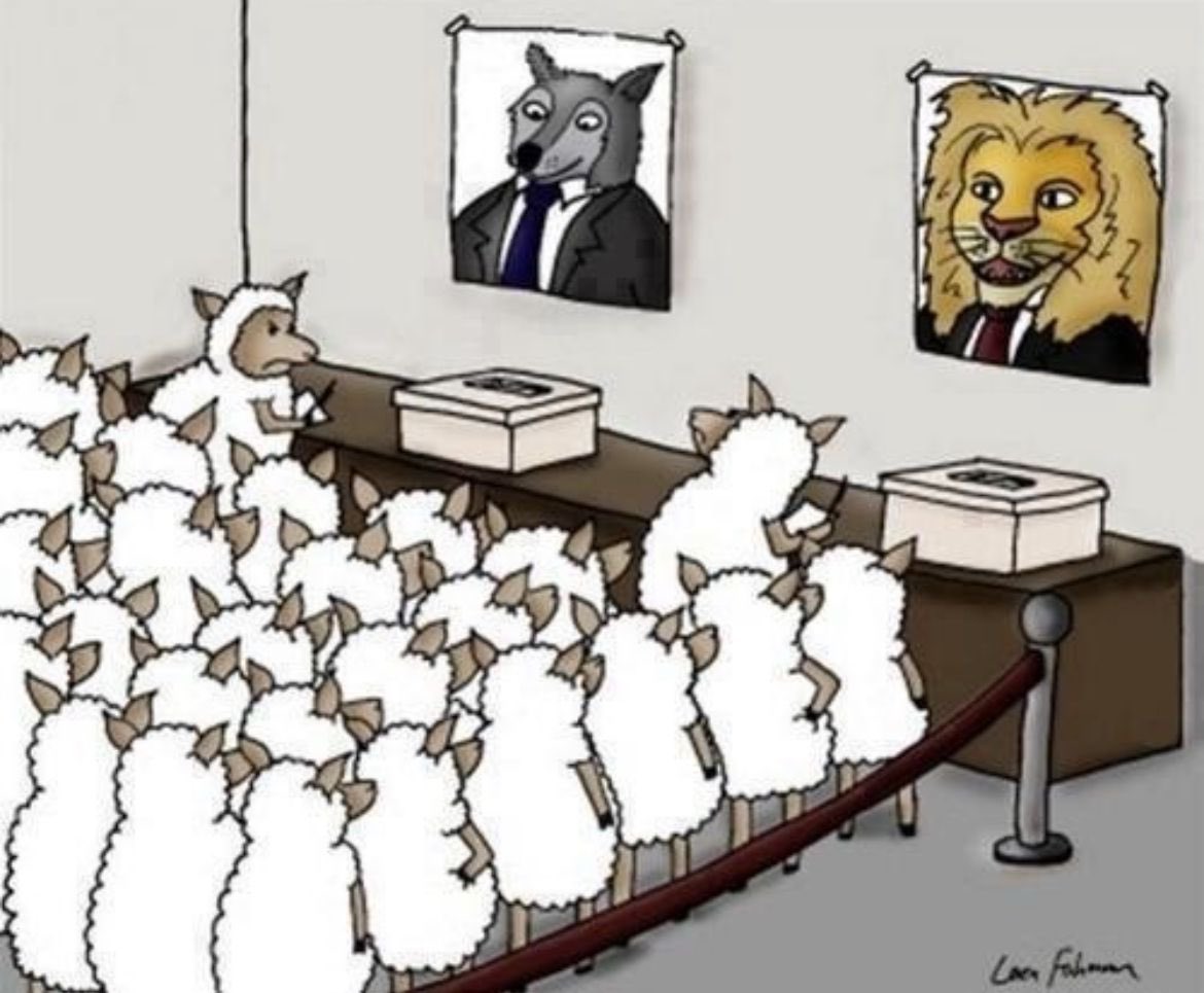 Uma bela representação do segundo turno...