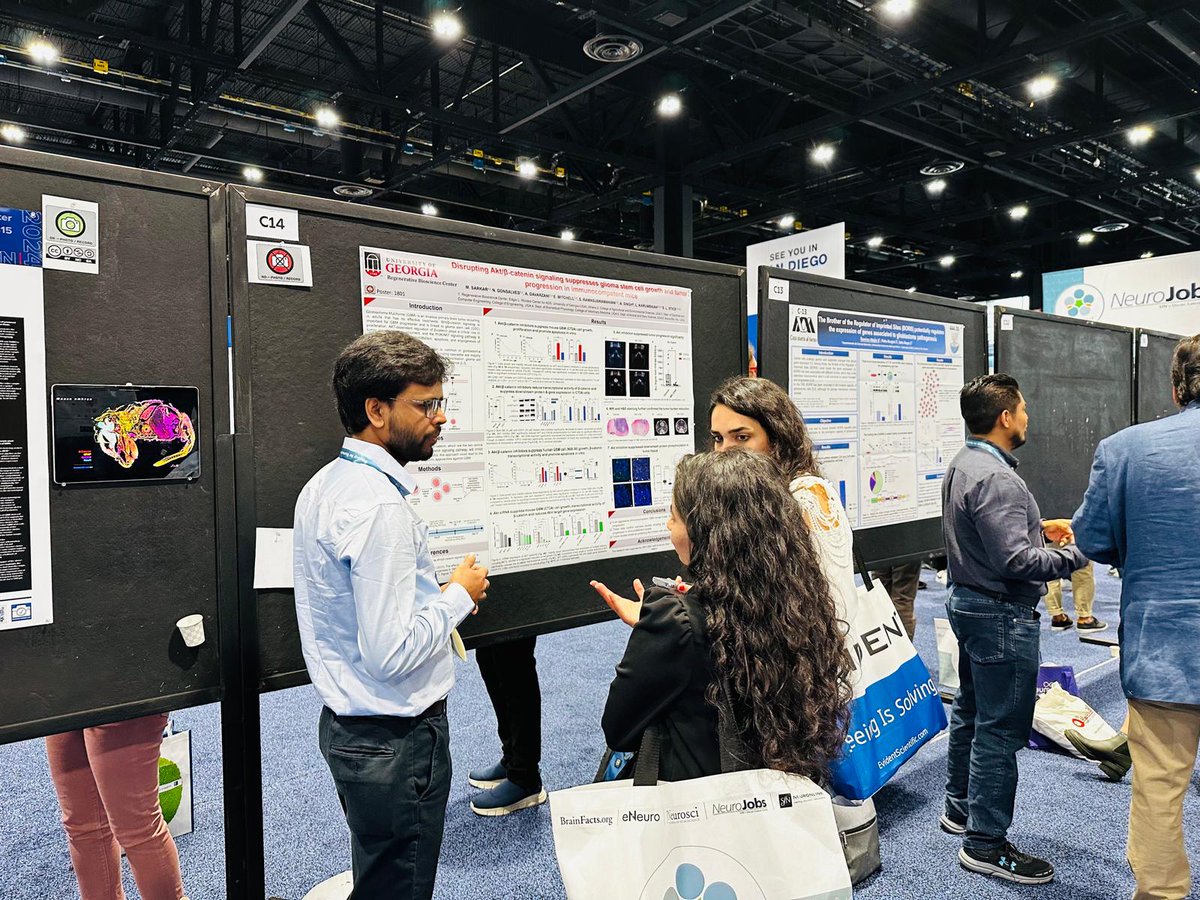 karumbaiahlab's tweet photo. Congratulations, Ruiping and Marzan, on being selected to present posters at the recent @SfNtweets conference in Chicago! You'll both did the Karumbaiah and Stice Lab, proud. 
#sfn2024 #karumbaiahlab #rbc https://t.co/aPGK65V2wc