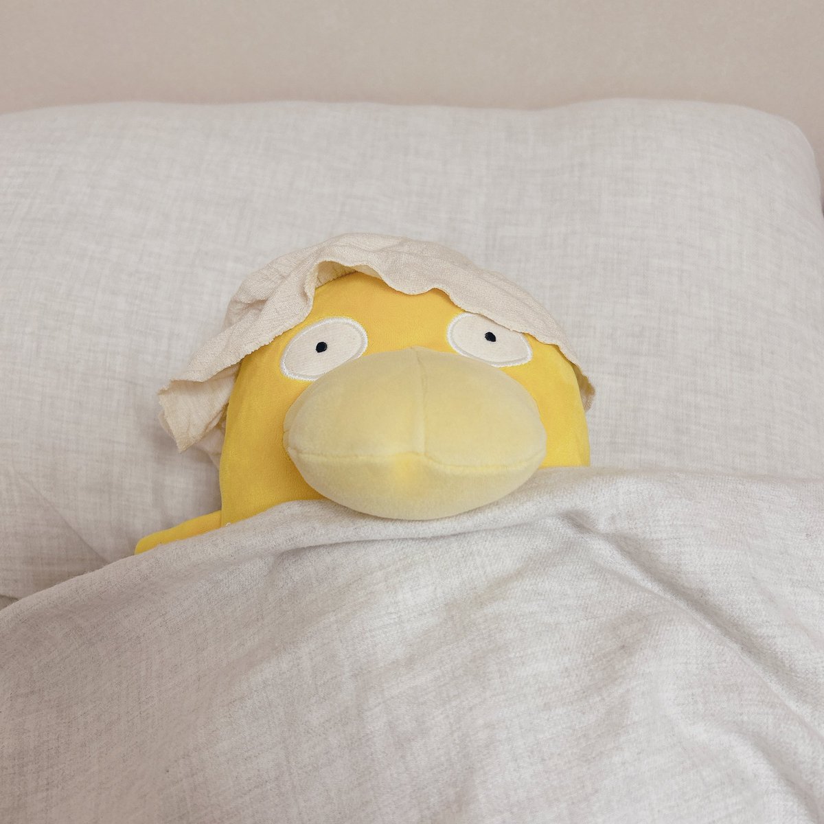 ずん、ナイトキャップ必要？