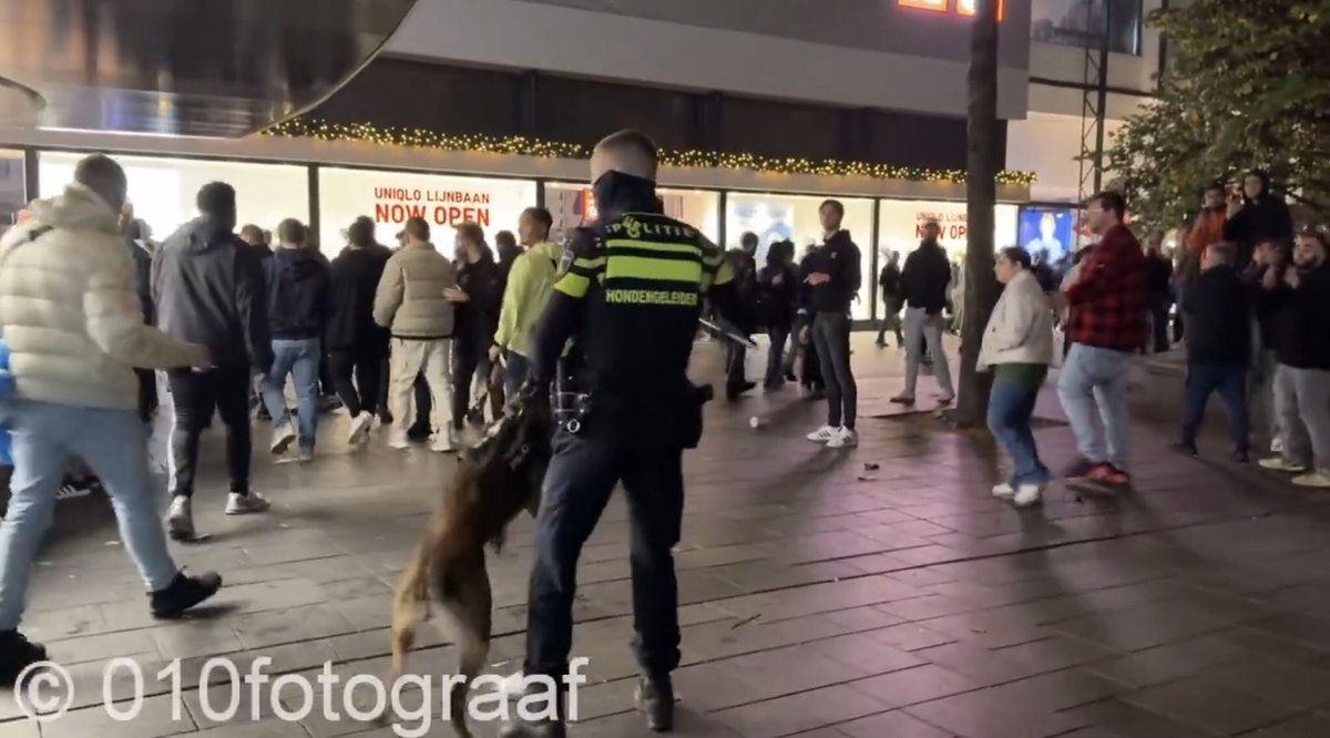 Rory - Rory20s.bsky.social tweet media