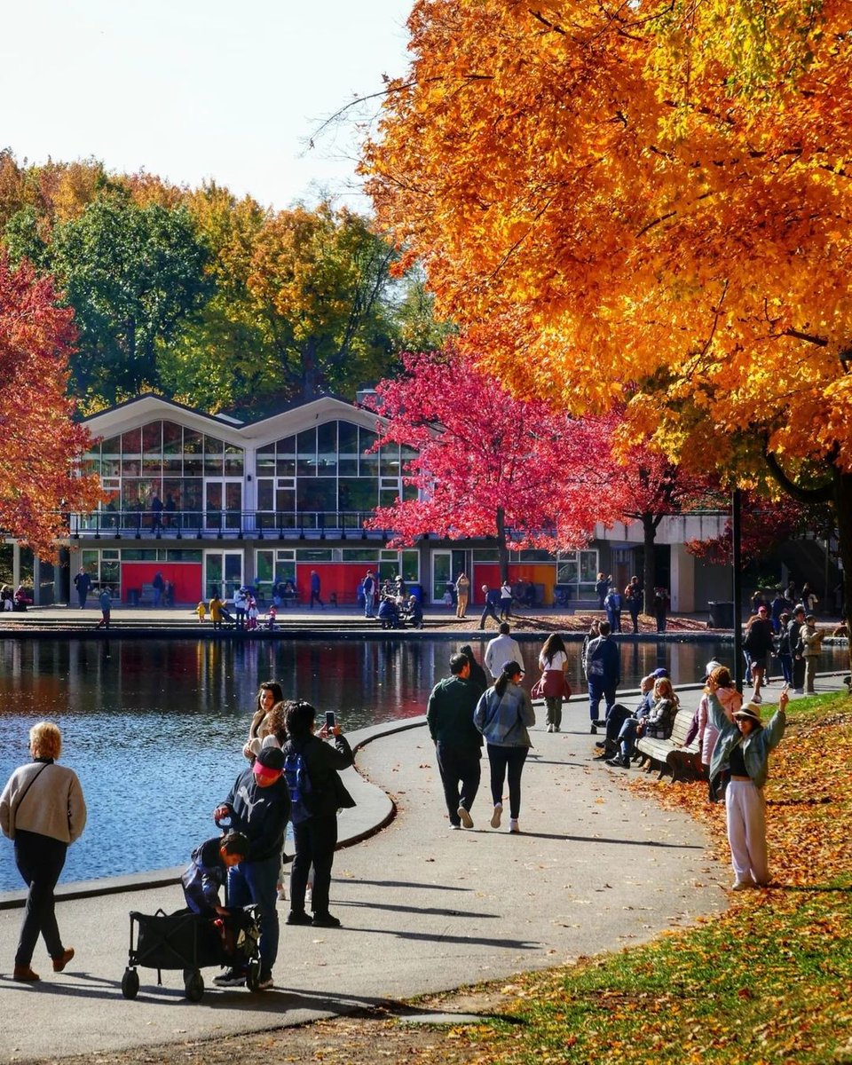 Mon Montréal tweet media
