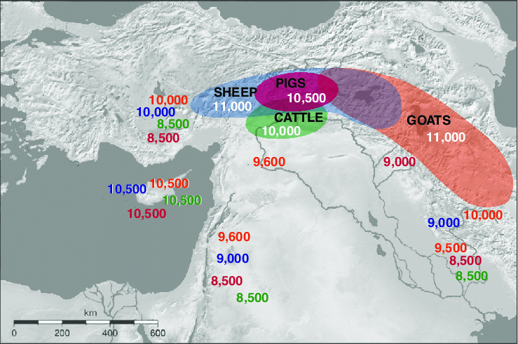 sdhaddow's tweet photo. @KUHoopes For SW Asia the dates for sheep/goat &amp; pig domestication are off by about 1000-1500 years (probably due to C14 issues), but the regions are roughly the same. The only major change is for cattle, where we now know it occurred much earlier in the Upper Euphrates &amp; Tigris regions. https://t.co/uH7YYRHsZh