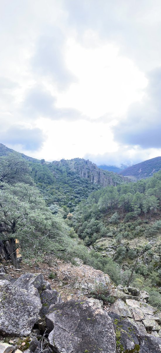 Hello friends! 👋🏻

Yesterday we were organising our excursion to Las Batuecas to have everything ready! 🚌⛰️

We had some unexpected companions that we hope will be with us during the excursion 🐐📸

We are looking forward to your visit to the site! 🤗