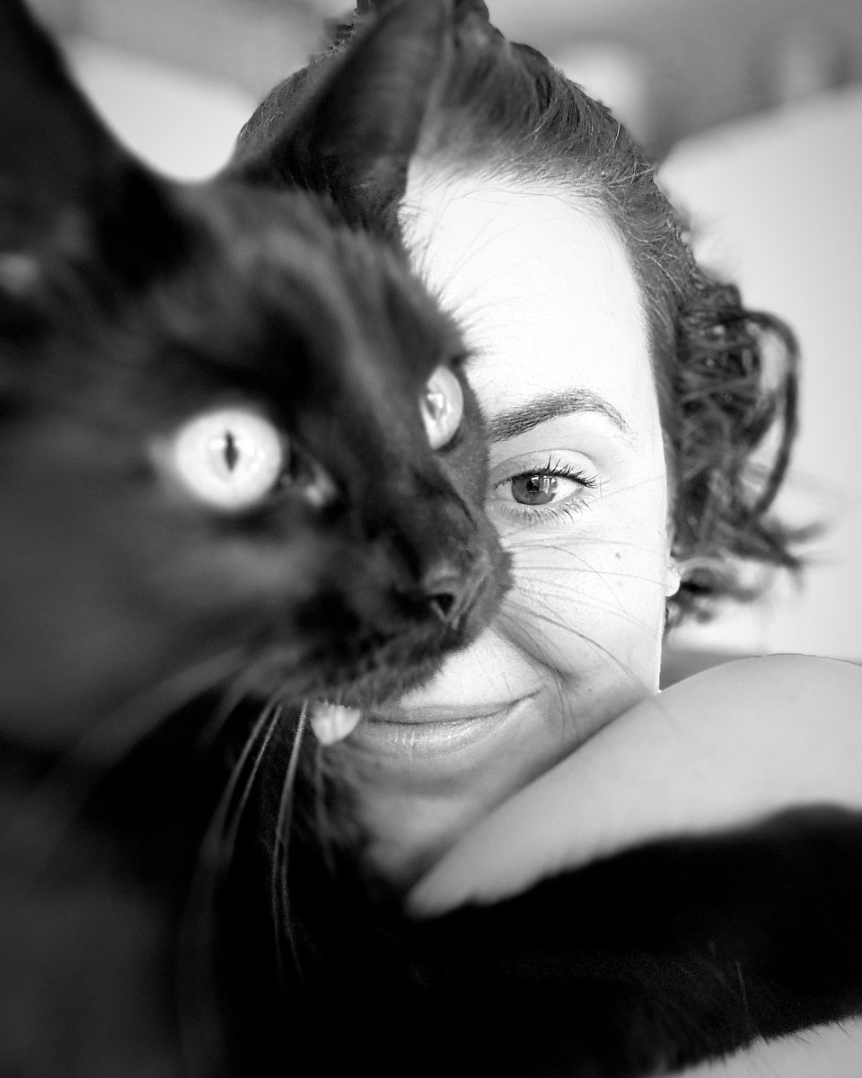 claire stewart tweet media