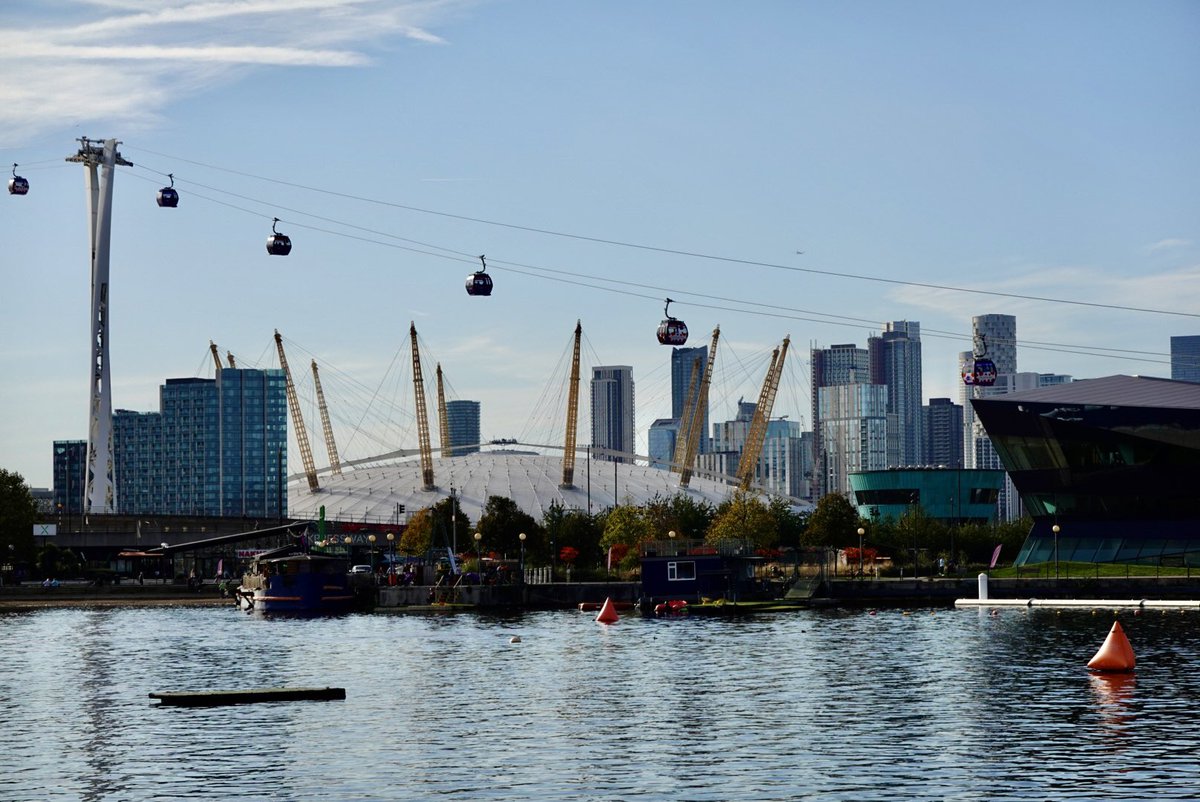 The Koya Lab tweet media