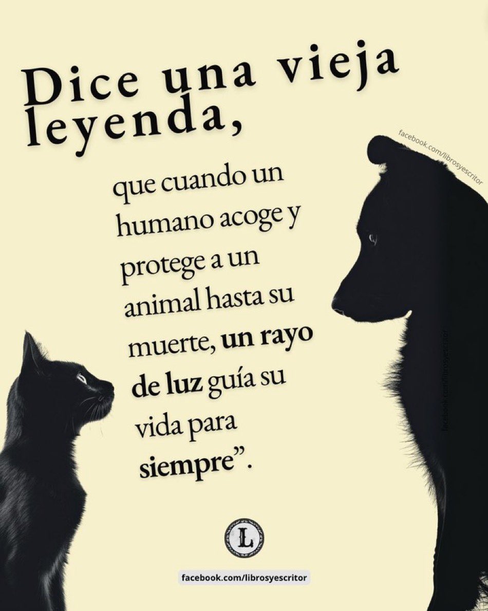 VERDAD tweet media