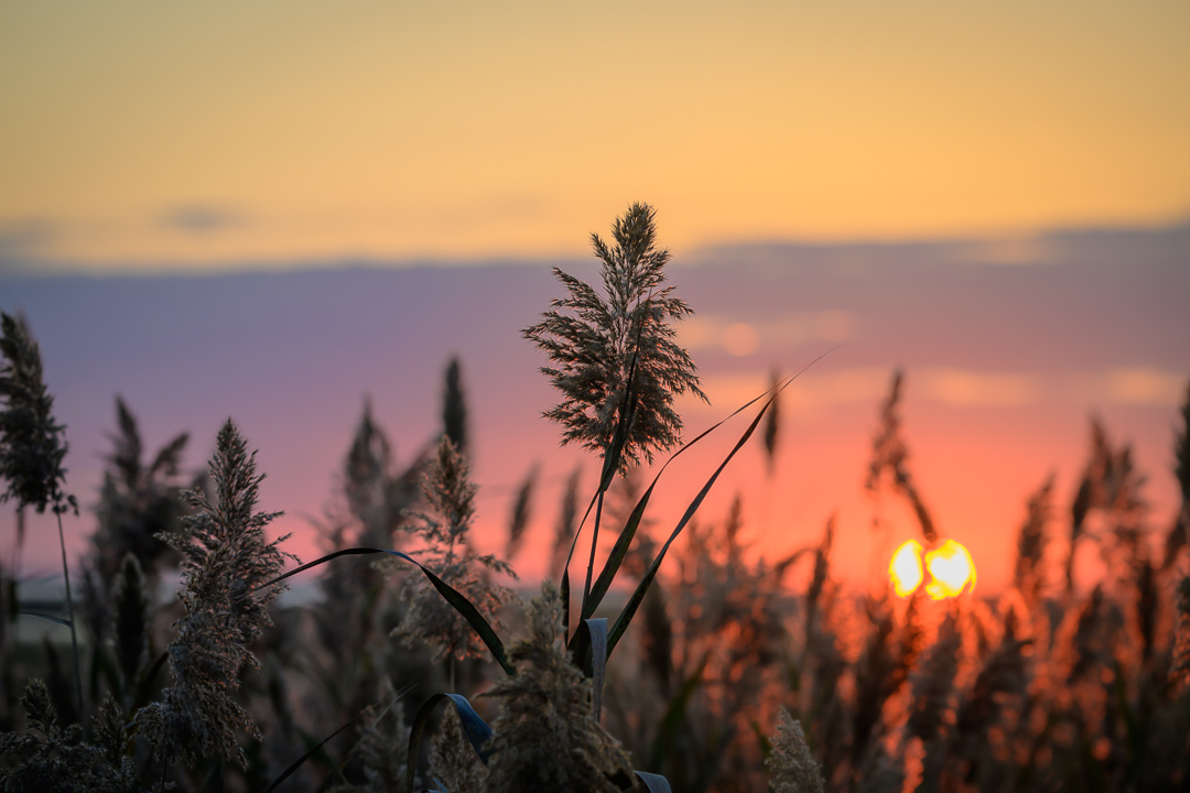 WeGo Photos tweet media