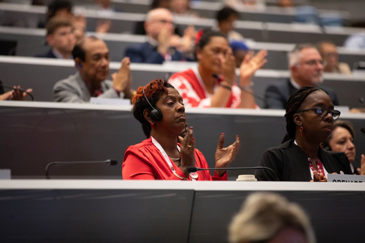 The 2024 Council of Delegates started today bringing together Red Cross and Red Crescent National Societies, the <a href="/ICRC/">ICRC</a> and IFRC.

The Council looks at ways to ensure that the International Red Cross and Red Crescent Movement remains adaptable and accountable.

A movement fit for