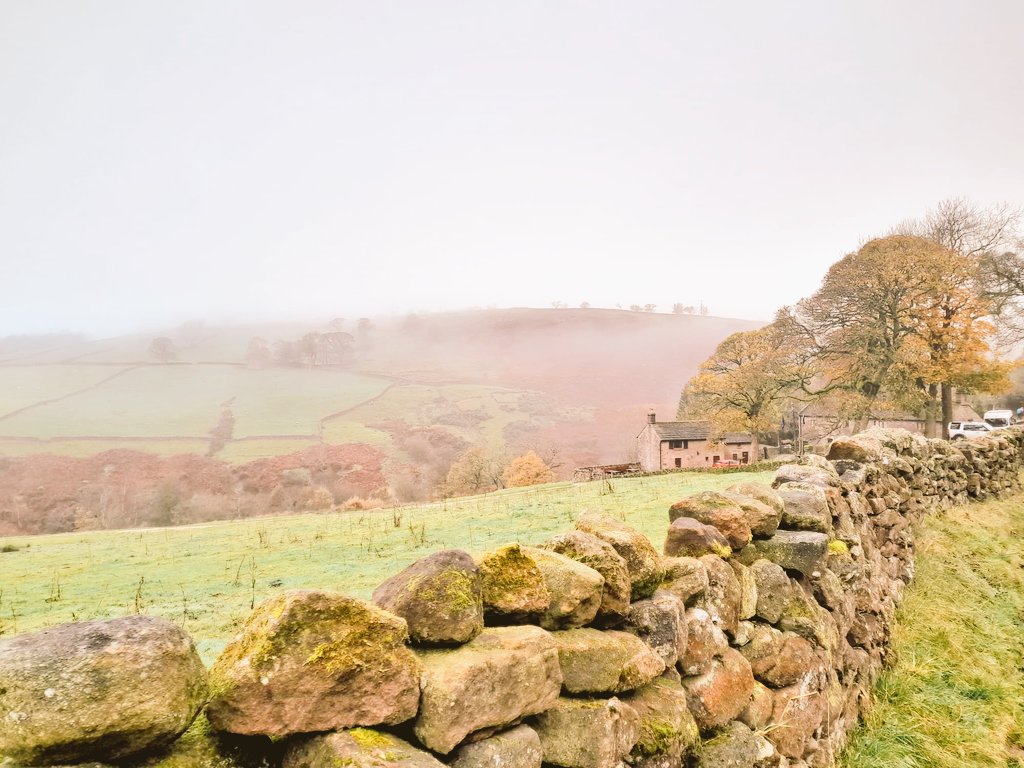 Shipton ESU tweet media