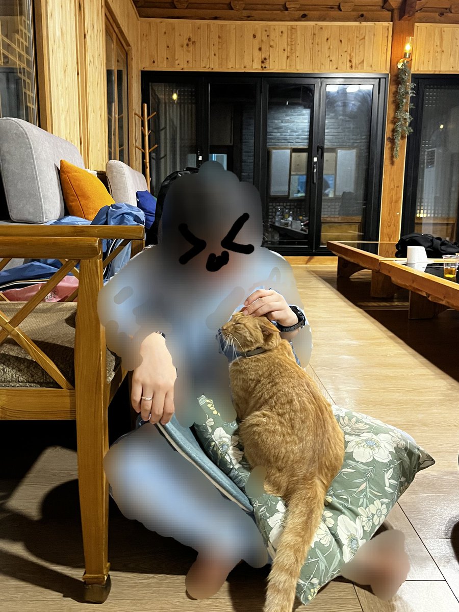 imdanny_Judith's tweet photo. 부윤옥 이제야 가보기~
숙소가 넘넘 예뻤어ㅠ
애들따라 방 정하기했는데 탈락해서 쇼파에서 잔 사람 ㄴㅇㄴ~
애들 다 델꾸가서 배니닭강정 먹구
회먹으면서 노포기보고~
윤옥이도 무릎에 앉혀서 사진찍기 미션도 성공함!😆
애들 갔던 바다에서 애들 사진 찍기📸
애두라 보고시퍼
행복한 주말이어따🦭 https://t.co/N6mFIEMjWg