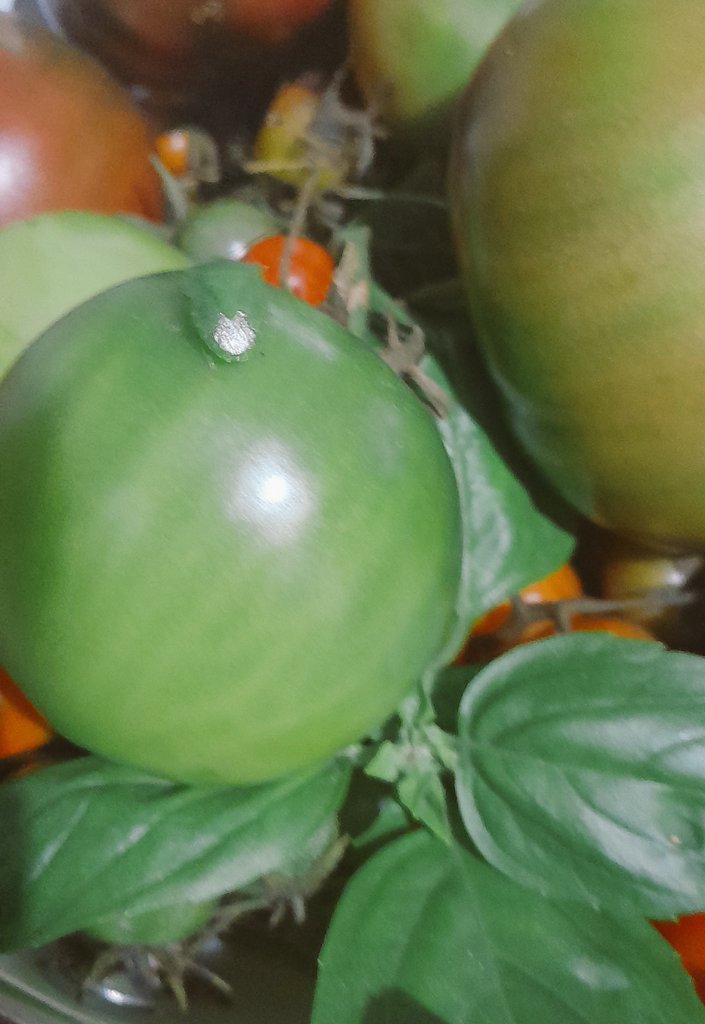 Kellie 📕 tweet media