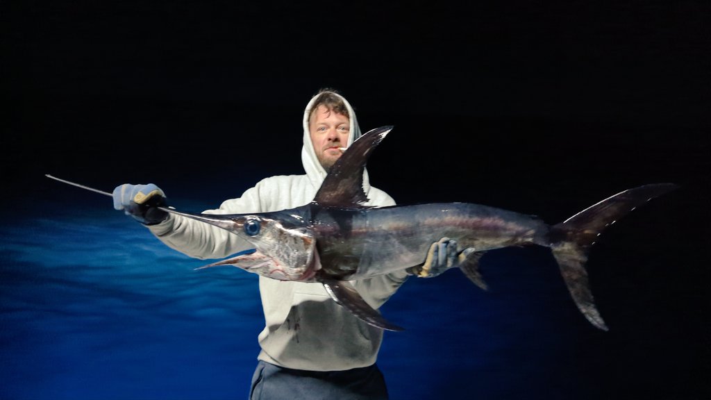 FishingStatus's tweet image. 3 for 7 on Swordfish last week out of OCMD on Game Changer. #swordfish #fishing
