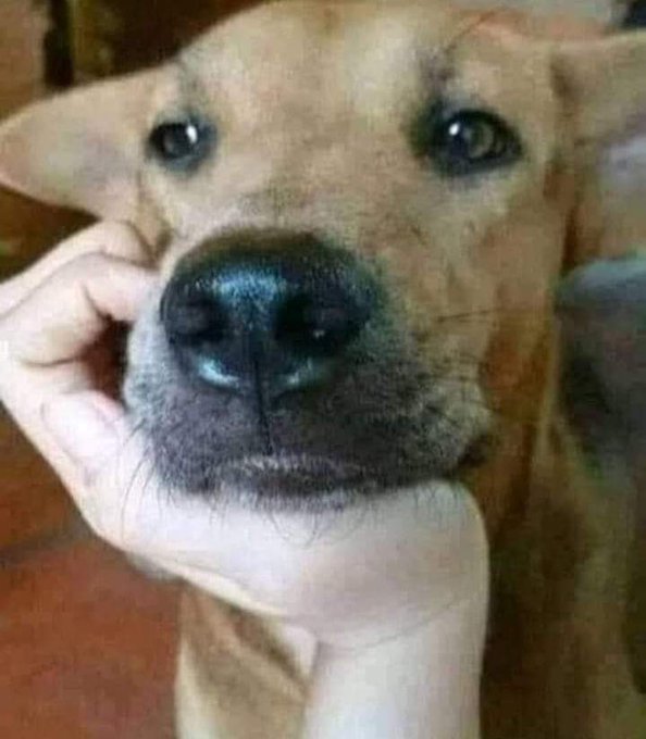 तोबा तोबा.... जय हो 

50 रूपए का मामला दो राज्यों में तुल पकड़ता जा रहा है ...

 राजस्थान रोडवेज की लगभग 90बसों का हरियाणा में चालान काटा 

 और आज हरियाणा रोडवेज की 26 बसों का इधर चालान काटा...

वो भी एक लडकी की वजह से