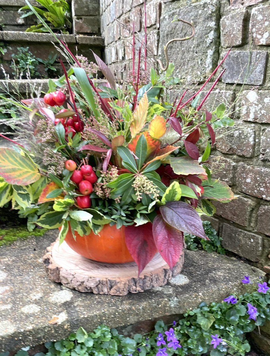 NdFloral's tweet photo. A natural garden pumpkin! Spontaneously made of course! https://t.co/83gRvsBLeM