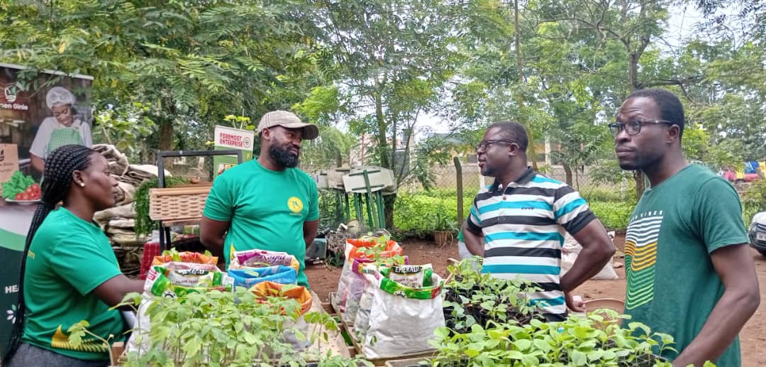 TechsheltaI's tweet image. Obtaining answers to your questions takes you a step closer to becoming a fulfilled farmer.

Join our training programs to gain insightful knowledge in agriculture.

#TSTI #training #learning #knowledge #agriculture #farming #greenghana #sustainability