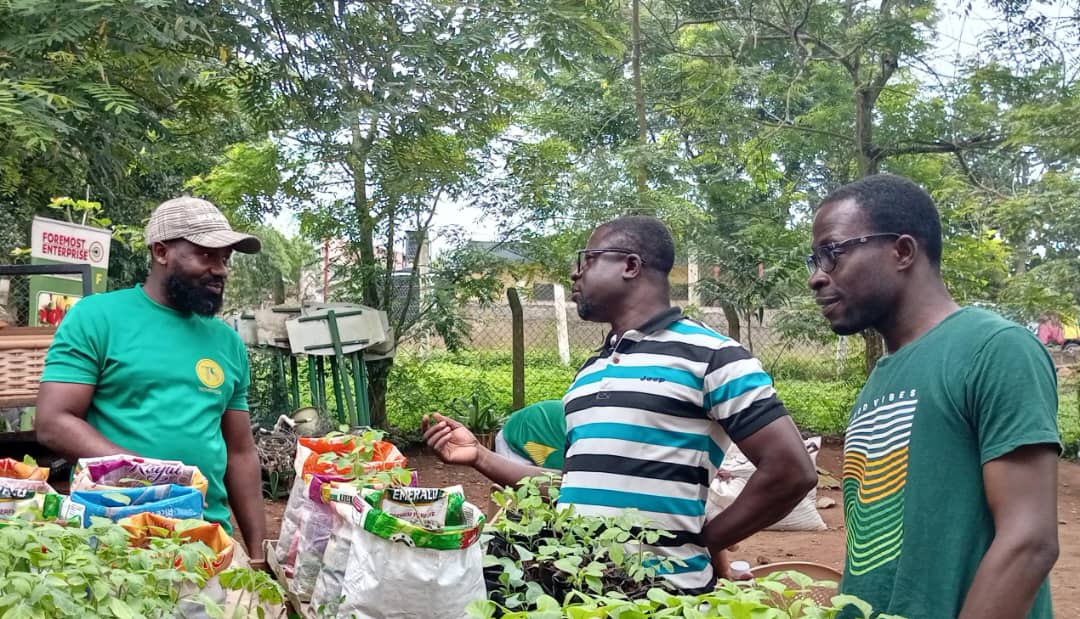 TechsheltaI's tweet image. Obtaining answers to your questions takes you a step closer to becoming a fulfilled farmer.

Join our training programs to gain insightful knowledge in agriculture.

#TSTI #training #learning #knowledge #agriculture #farming #greenghana #sustainability